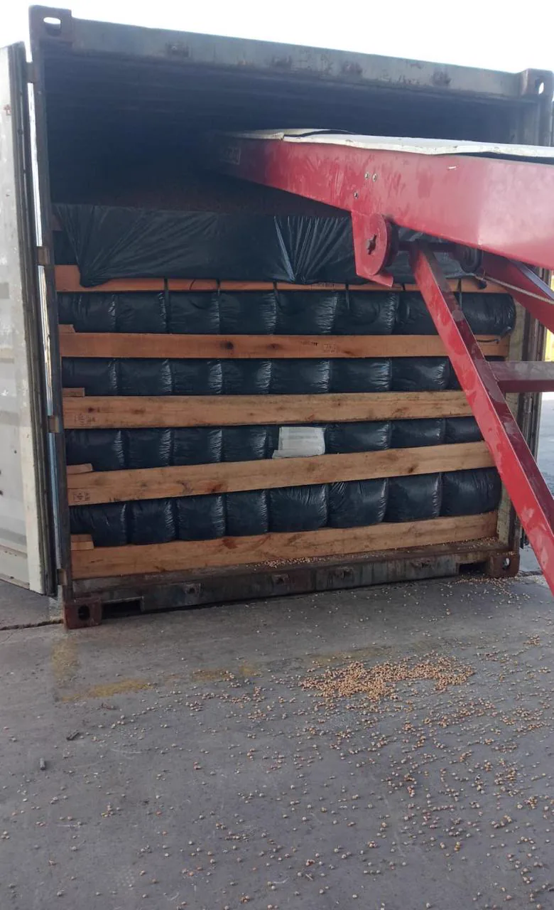 Liner bags negros en contenedor
